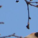  ,  -  5  2019      2019