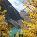  , -, 64  -  4  2019    ,  