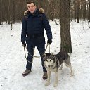 ���� ������, ���������� �����, 39 ��� - ��������� 31 ��� 2019 � ������ ���� ����������