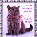 ���� Grus, �������� - ��������� 2 ������� 2019 � ������ ��������