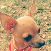 ������, 37 ���, �������