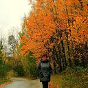 ���� ����, ��������, 63 ���� - ��������� 22 �������� 2019 � ������ ���� ����������