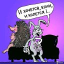 ���� ����, �����������, 62 ���� - ��������� 23 ��� 2019 � ������ ���� ����������