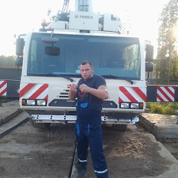 ������, �������, 46 ���