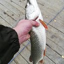 ���� ������, ��������, 47 ��� - ��������� 14 ������� 2019 � ������ ���� ����������