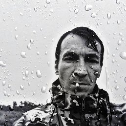 �����, ������, 48 ���