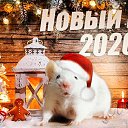 ���� ��������� ����������, ������������, 82 ���� - ��������� 31 ������� 2019 � ������ ������ ��������