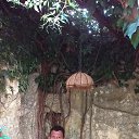 ���� ������, ������, 63 ���� - ��������� 11 ���� 2019 � ������ ���� ����������