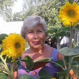 �������, ���������, 73 ����