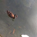 ���� Hellen, �����, 31 ��� - ��������� 11 ���� 2019 � ������ ���� ����������