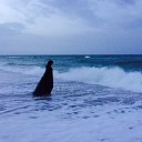 ���� Zaja, ������� - ��������� 31 ������� 2019 � ������ ������ ��������