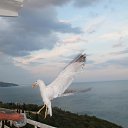 ����. �������. ������� ����������.