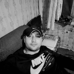 , 33, 