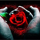 ���� Aleksandr, ����-��� - ��������� 8 ��� 2019 � ������ ������