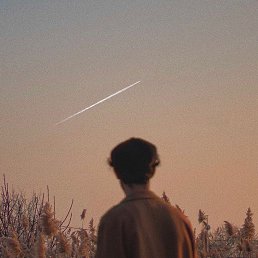 Anastasia, ������