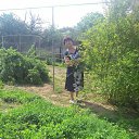 ���� ����, ���������, 74 ���� - ��������� 12 ��� 2019 � ������ ������ ��������