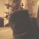 ��� ��������� " ����" �� ������� ���� ����������