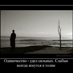 ������, ������, 40 ���