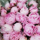 ���� ��������, �����-���������, 52 ���� - ��������� 14 ���� 2019 � ������ �Instagram Photos�