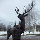 ���� �@�����, ������ ��������, 52 ���� - ��������� 24 ������ 2019 � ������ ���� ����������