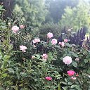 ���� ������, ������������, 74 ���� - ��������� 26 ���� 2019 � ������ ������ ��������