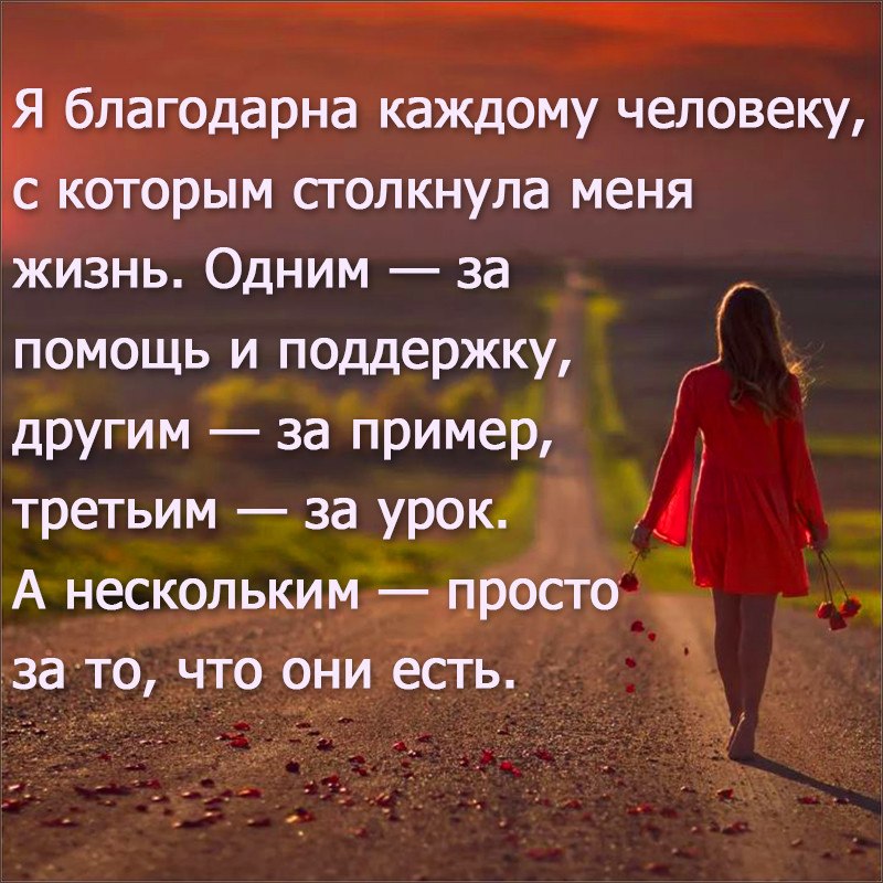 Подходит вам на этом. Я благодарна жизни. Я благодарна каждому. Я благодарна каждому человеку с которым. Я благодарна людям которые были в моей жизни.