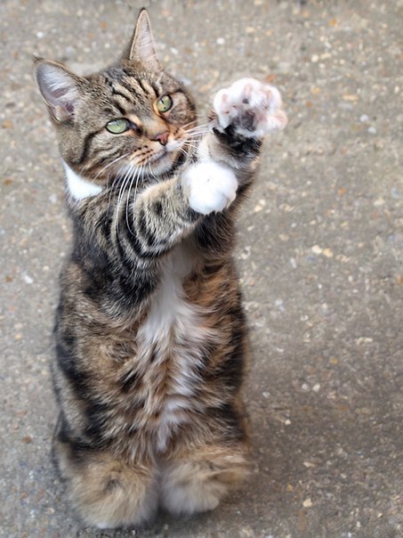 ����� � ����?