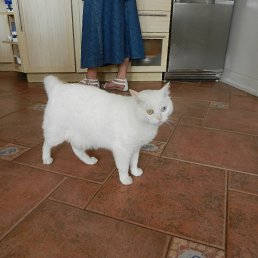 �mr, ������, 59 ���