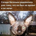 ���� ������, ��������, 55 ��� - ��������� 24 ���� 2019 � ������ ������ ��������