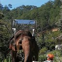 ���� Gala, ������ - ��������� 21 ������� 2019 � ������ �������� ������� 2019�