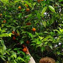 ���� ��������, �����-��������� - ��������� 21 ��� 2019 � ������ ������� ��� 2019�