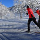 ���� �������, �����, 52 ���� - ��������� 21 ������� 2019 � ������ ���� ����������