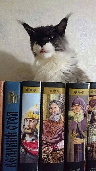 Лeктoр на мecте. Слушатели готовы? Toгда начинаем... Сегодня лекция на тему: Без кота и жизнь не та.