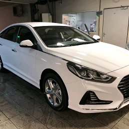 ���� Aleq, ������, 33 ���� - ��������� 1 ������� 2019