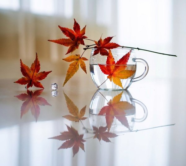 � ������ �� ����... � ������ � ������� ����, � ����, �������� �� �������� �����, � ������, ��������� ...