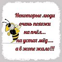 ���� �����, ���� - ��������� 20 ���� 2019 � ������ ������ ��������