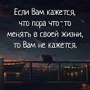 ���� ������, �����-��������� - ��������� 3 ��� 2019