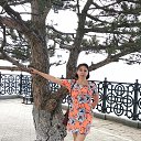 ����, ����� 2019 �� ������� ���� ����������