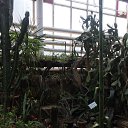 ���� ����, �����������, 50 ��� - ��������� 6 ������ 2019 � ������ ������������� ���