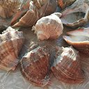 ���� �����, �������, 47 ��� - ��������� 9 ������� 2019 � ������ ���� ����������