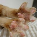  Saturn,  -  21  2019    