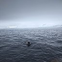 ������� � ������� �������� ��� �� ������� ������ ����� 2019�