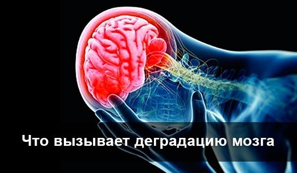 Дегрaдация мозга — читать всем! С каждым днем все больше людей жалуется на проблемы с мозговой ...