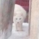 ���� �������, ��-����, 50 ��� - ��������� 7 ������ 2019 � ������ ���� ����������