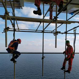 ���� V&uuml;sal, ����, 41 ��� - ��������� 15 ������ 2019