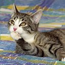  Saturn,  -  21  2019    