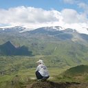 ���� ����, ��������� - ��������� 26 ������� 2019