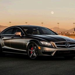 ������ �������������, ����-���������, 42 ����