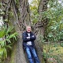 ���� �����, ������ ��������, 66 ��� - ��������� 24 ������� 2019 � ������ ���������� ������