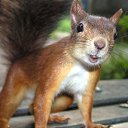 ���� �����, ������ - ��������� 31 ������� 2019 � ������ ���� ����������